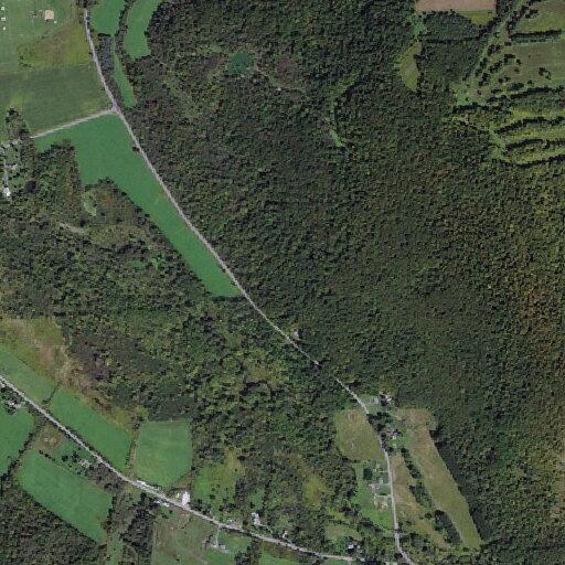 Person in crisis reported on Bailey Road in Fabius
