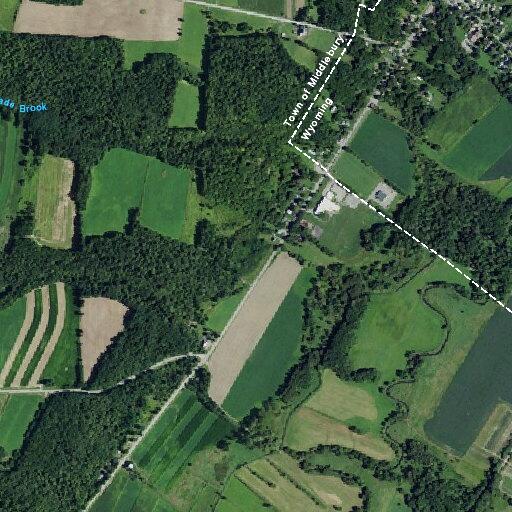 Loose donkey in roadway on Route 19
