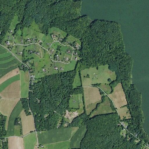 Unconscious 65-year-old female found at Lakeshore Road