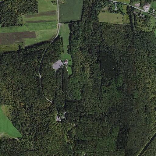 Person feeling faint at Highland Forest park