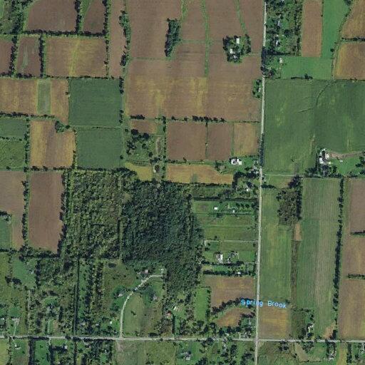 79-year-old man reported fallen near Livonia