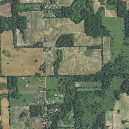 Child knocked down by dog in Antrim Township