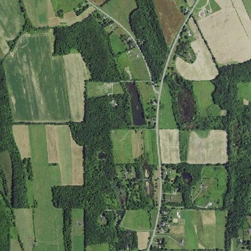 Recreational burn checked behind home