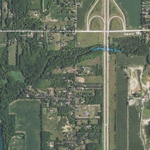 96-year-old female with back pain after fall in DeWitt