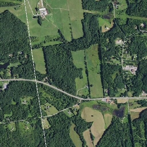Deceased deer on shoulder of Route 7 eastbound