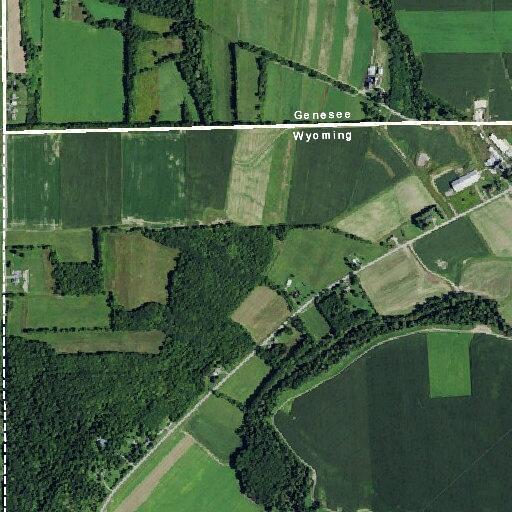 Pickup truck and deer collision on Starr Road