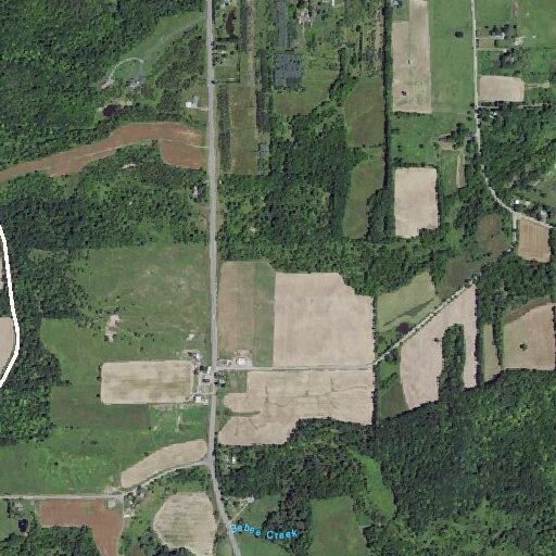 Partially down utility pole blocking Gray Road