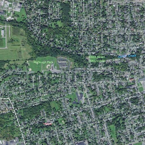 Female with possible mental health issue at William Street