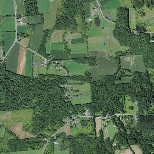 Smoke near Hill Road found to be fireworks