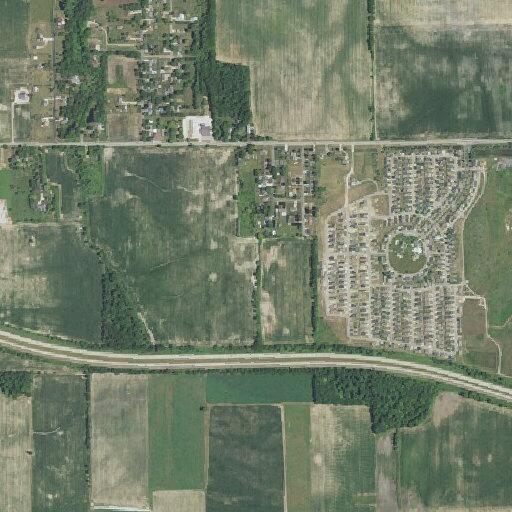18-year-old female with heart issues at Grand River Ave