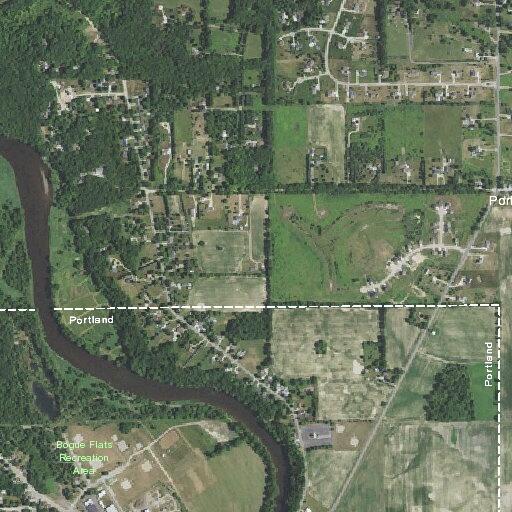Loose dogs reported near Boggs Flats plant