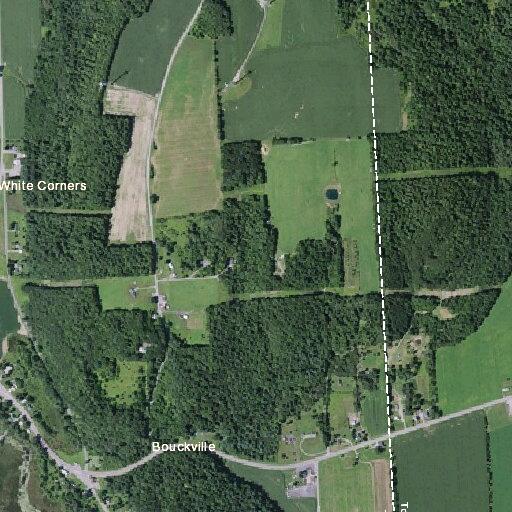 Intoxicated woman walking on roadside near Route 20