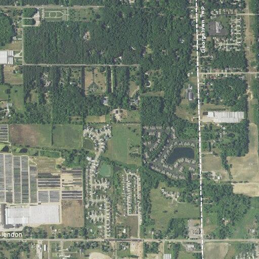 Elderly female reported with vomiting and diarrhea in London Township