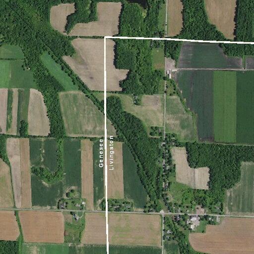 Deputy checks on man walking along Walker Road
