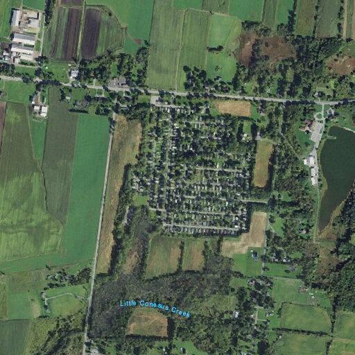 Man with chest pain and dizziness at Ashmoor Drive