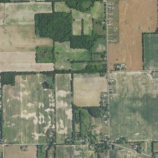 Ongoing search for missing person near Bancroft home