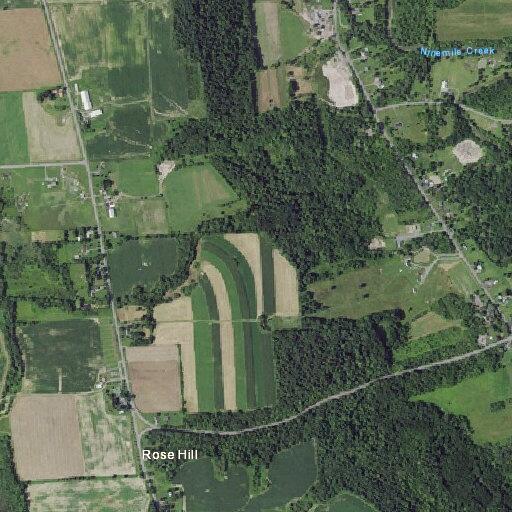 60-year-old male faints and regains consciousness