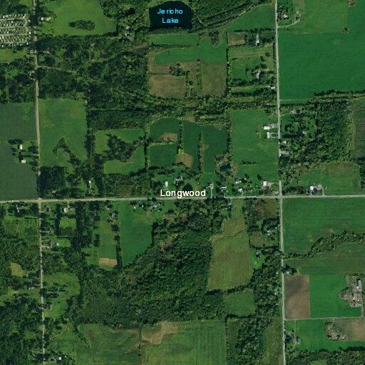 Man stumbling in roadway on Sumner Road