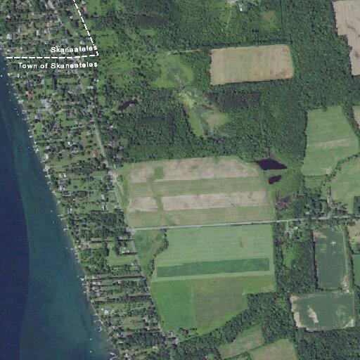 Neighbor dispute over controlled fire in yard