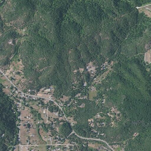 25-year-old female vomiting and dizzy at Evergreen Ridge Rd
