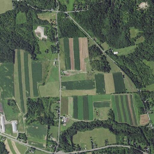 44-year-old woman reported with chest pain in Skaneateles