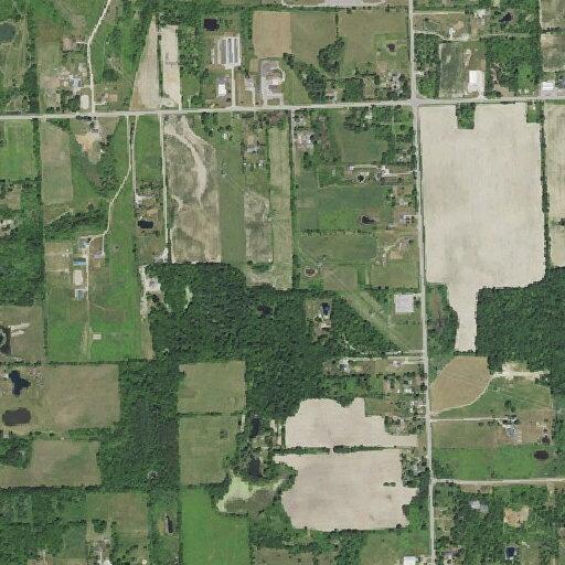 Woman passes out near Rochester Road in Dryden