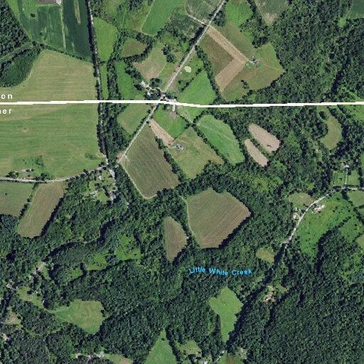 Tree blocking road on White Creek Road