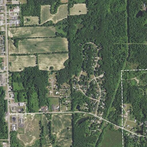 Elderly woman found confused at Metamora residence