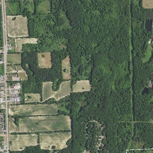 Woman falls without injury near Winding Pine Drive in Metamora