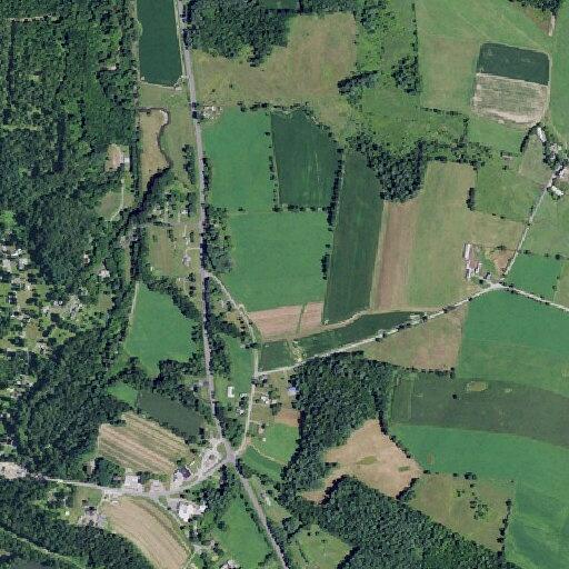 Person had a seizure near State Route 22 in White Creek