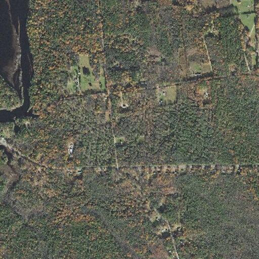 Tree blocking roadway near Old Bennington Road