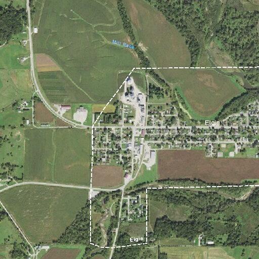 90-year-old female weak and dizzy near West Street