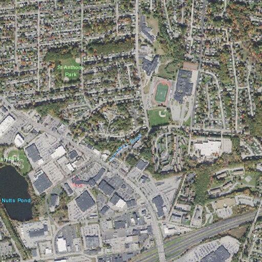 81-year-old woman falls with possible head injury
