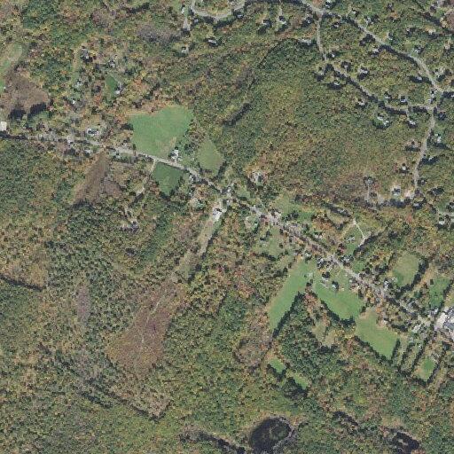 Person fallen with back injury near Chester