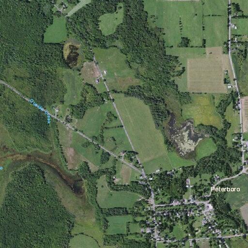 Injured deer causes concern near Peterboro Rd