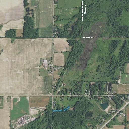 Vehicle hit deer on West Dewey Road