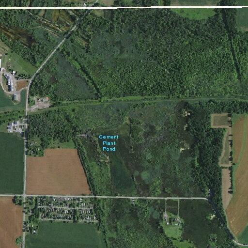 83-year-old woman with low oxygen at Alpine Lane