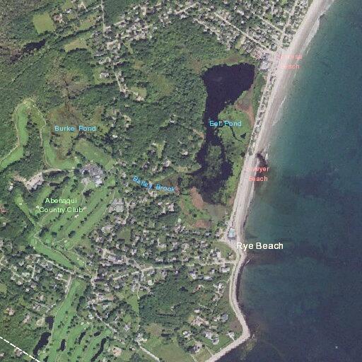 Elderly woman experiences chest pain at Rye Beach