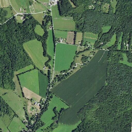 Report of prior domestic dispute at Niles Lane
