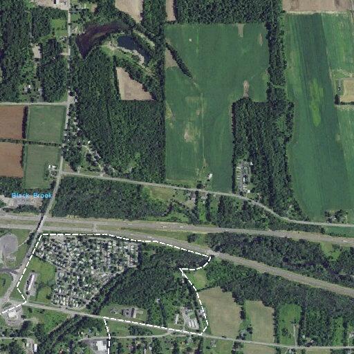 91-year-old woman fell and is vomiting at Niagara Way