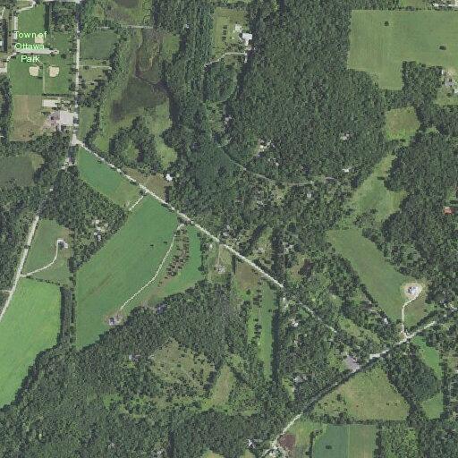Small tree blocking road on Highway D