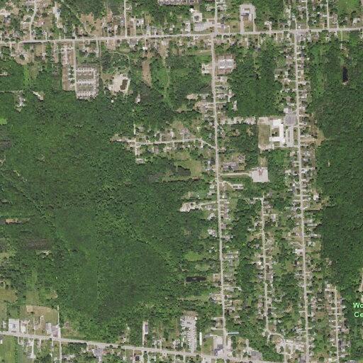 Person with cardiac issue near Lapeer Road in Port Huron