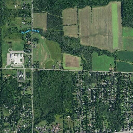 91-year-old woman with stroke symptoms at residence
