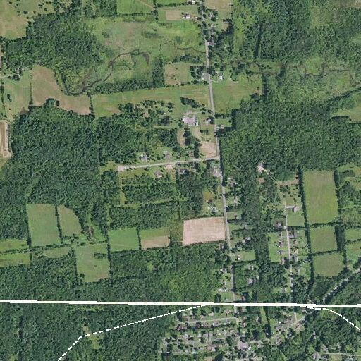 Elderly woman with altered mental status near Fowler Street