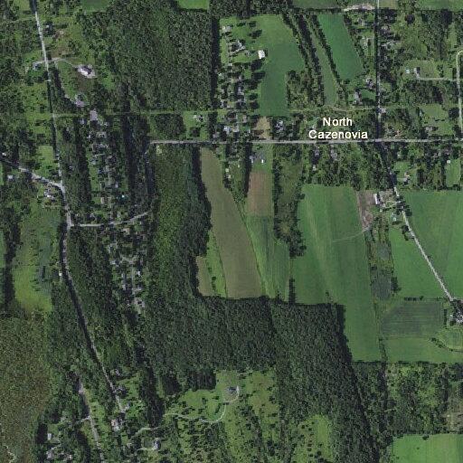 Loose horse creating road hazard in Cazenovia