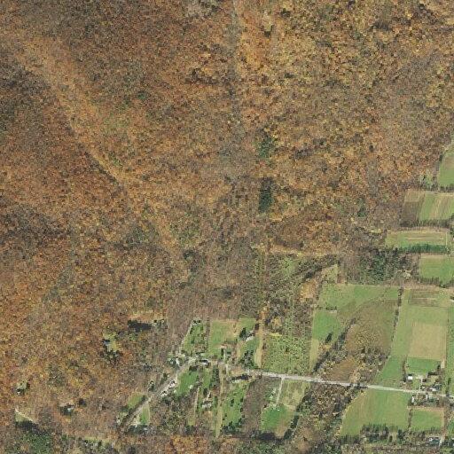 Fire department assists EMS with medical call on Mountain Rd