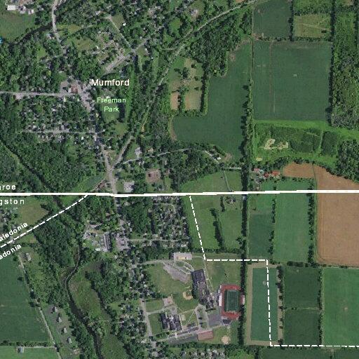 Woman injured knee and wrist after fall in Caledonia