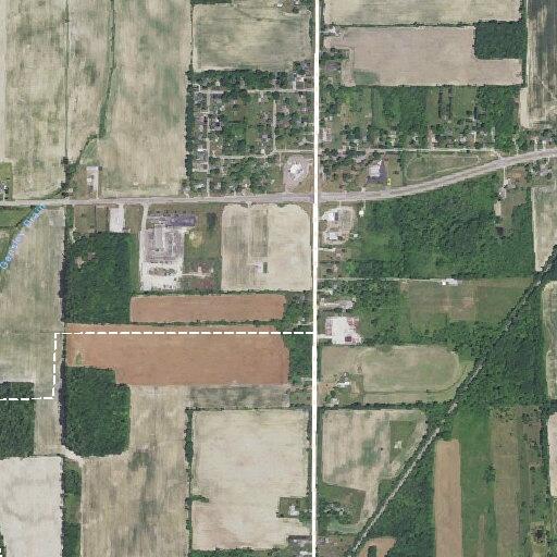 76-year-old woman dizzy and vomiting near Michigan