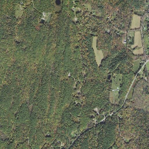 Elderly male detected after fall near Bellows Falls Rd