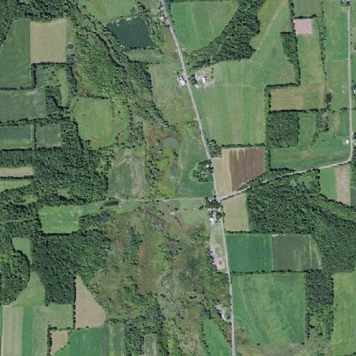 Woman injured hip, trouble walking at Oriskany Falls